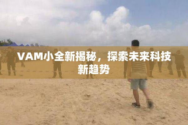 VAM小全新揭秘，探索未来科技新趋势