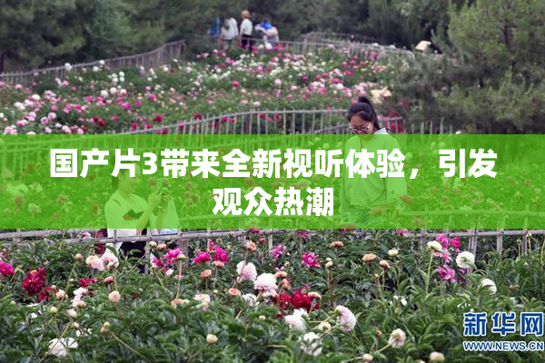 国产片3带来全新视听体验，引发观众热潮