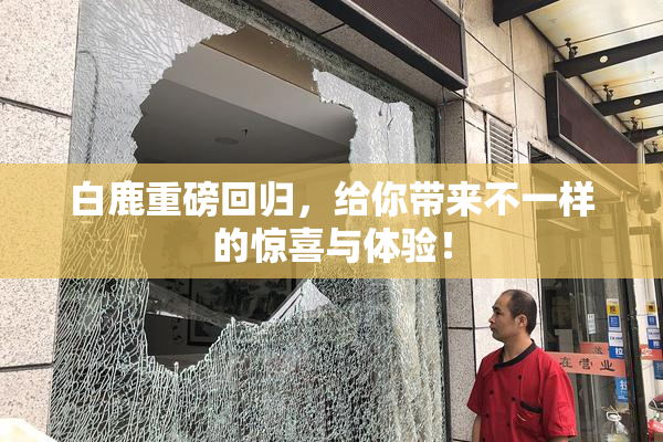 白鹿重磅回归，给你带来不一样的惊喜与体验！