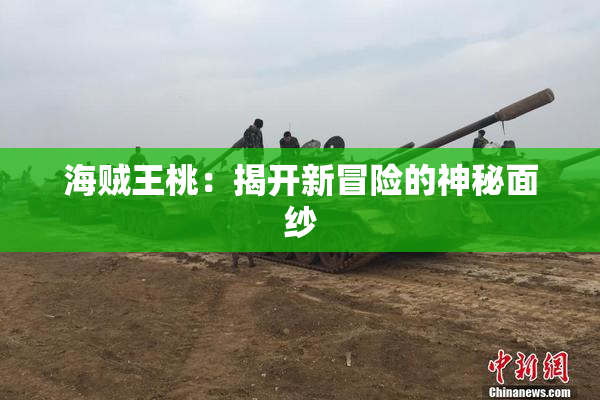 海贼王桃：揭开新冒险的神秘面纱