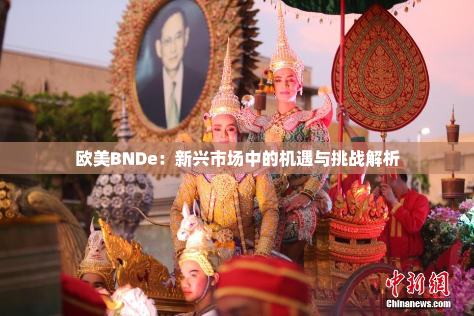 欧美BNDe：新兴市场中的机遇与挑战解析