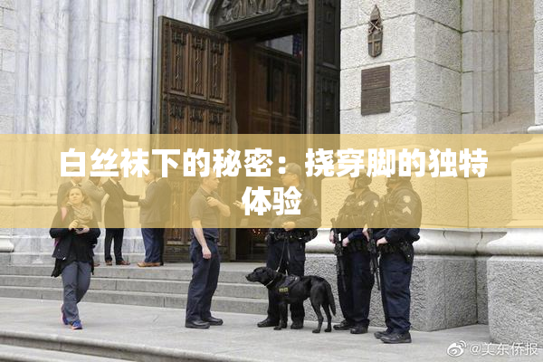 白丝袜下的秘密：挠穿脚的独特体验