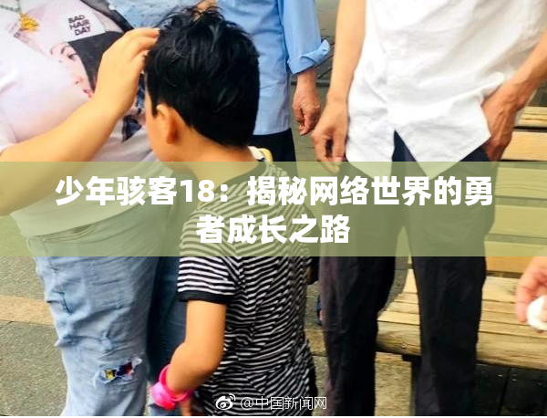 少年骇客18：揭秘网络世界的勇者成长之路