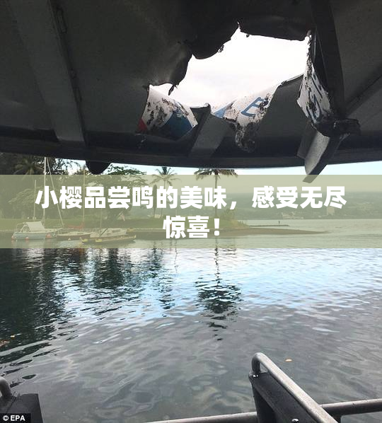 小樱品尝鸣的美味，感受无尽惊喜！