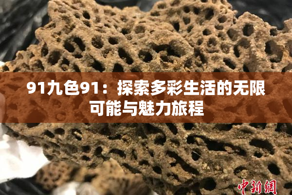91九色91：探索多彩生活的无限可能与魅力旅程