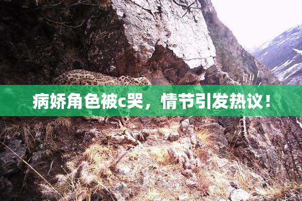 病娇角色被c哭，情节引发热议！