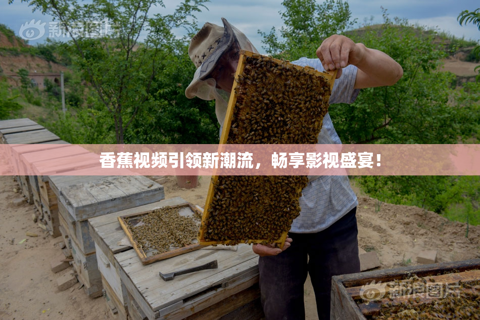 香蕉视频引领新潮流，畅享影视盛宴！