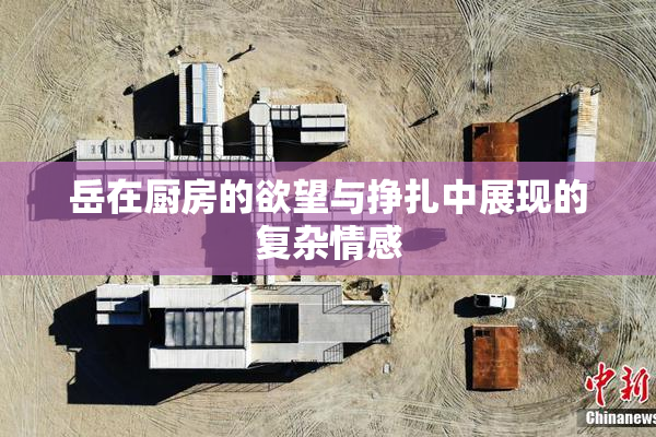 岳在厨房的欲望与挣扎中展现的复杂情感