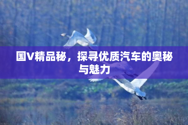 国V精品秘，探寻优质汽车的奥秘与魅力