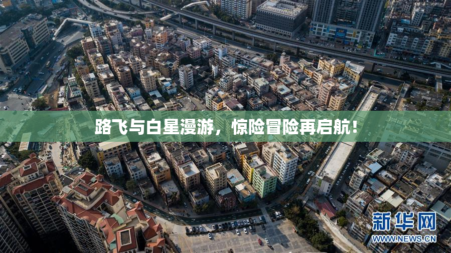 路飞与白星漫游，惊险冒险再启航！