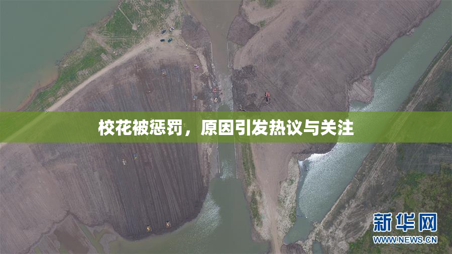 校花被惩罚，原因引发热议与关注