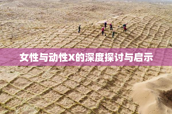 女性与动性X的深度探讨与启示
