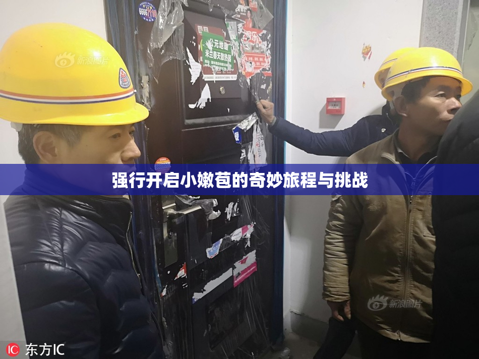 强行开启小嫩苞的奇妙旅程与挑战