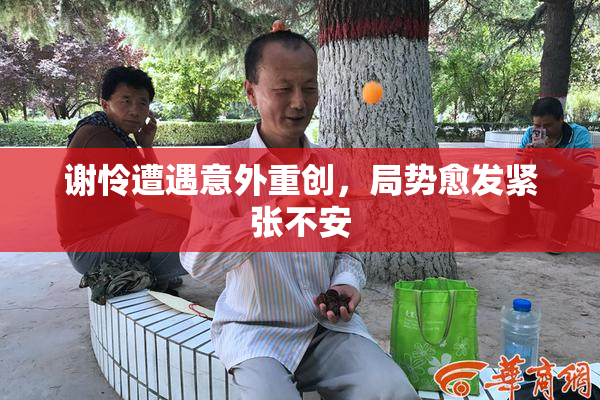 谢怜遭遇意外重创，局势愈发紧张不安