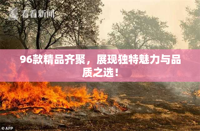 96款精品齐聚，展现独特魅力与品质之选！