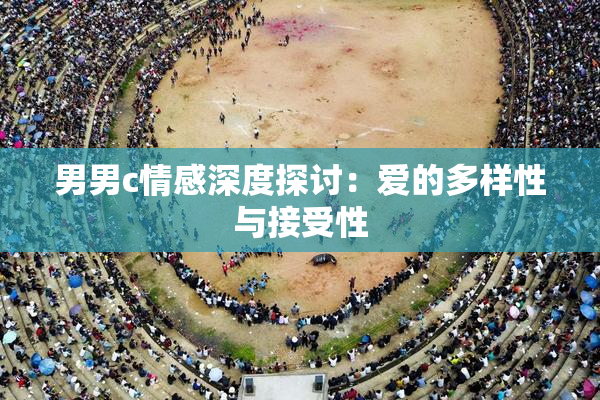 男男c情感深度探讨：爱的多样性与接受性