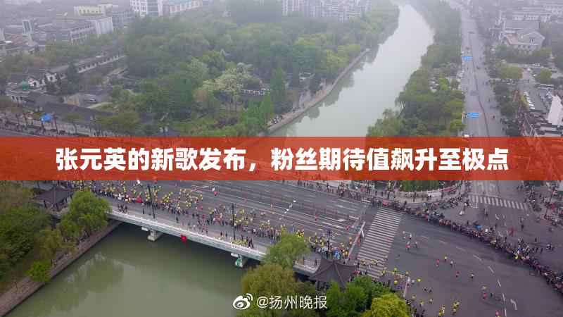 张元英的新歌发布，粉丝期待值飙升至极点
