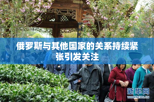 俄罗斯与其他国家的关系持续紧张引发关注