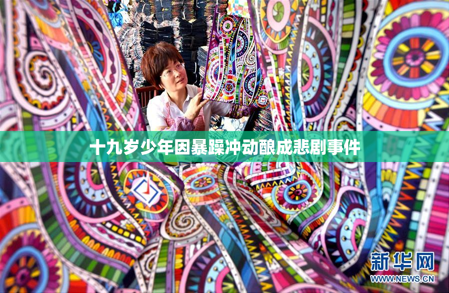 十九岁少年因暴躁冲动酿成悲剧事件