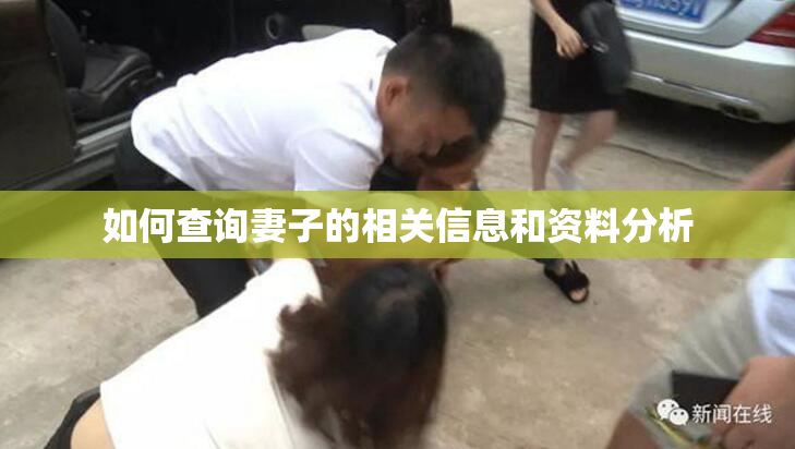 如何查询妻子的相关信息和资料分析