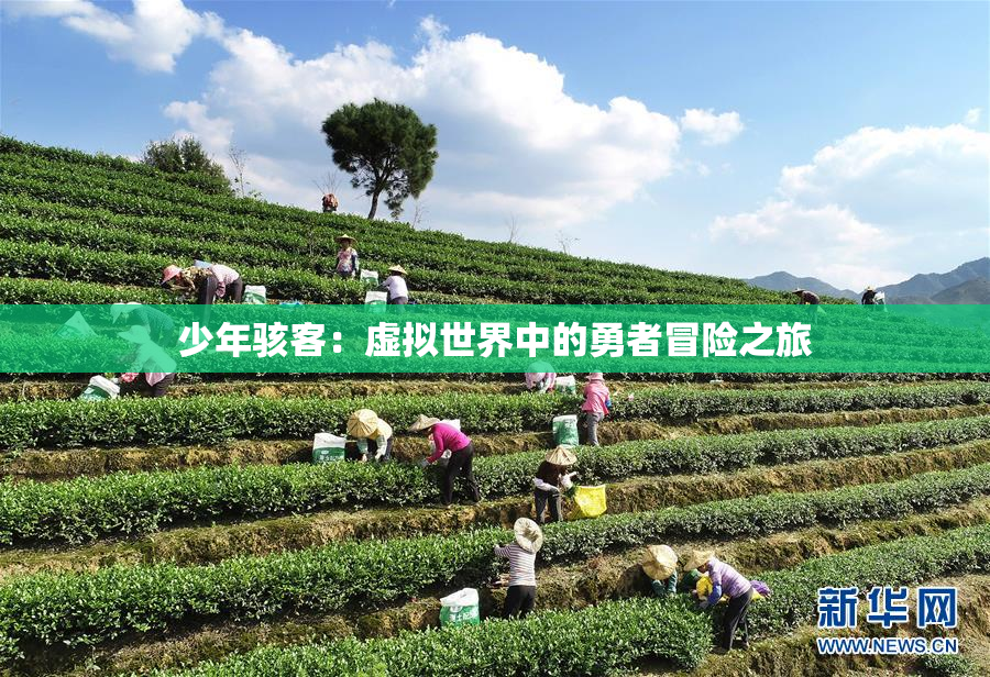 少年骇客：虚拟世界中的勇者冒险之旅