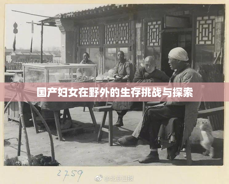 国产妇女在野外的生存挑战与探索