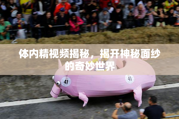 体内精视频揭秘，揭开神秘面纱的奇妙世界
