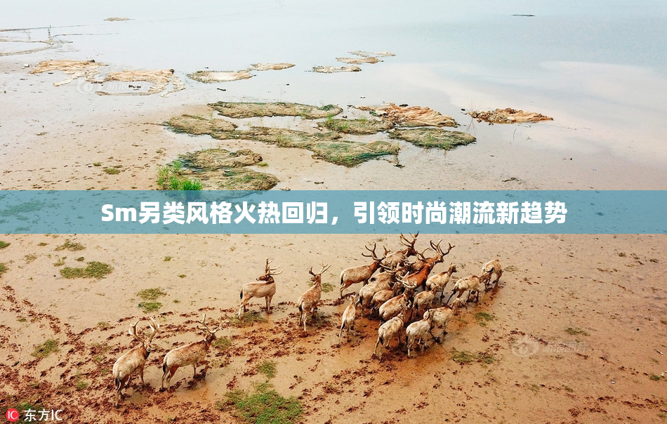 Sm另类风格火热回归，引领时尚潮流新趋势