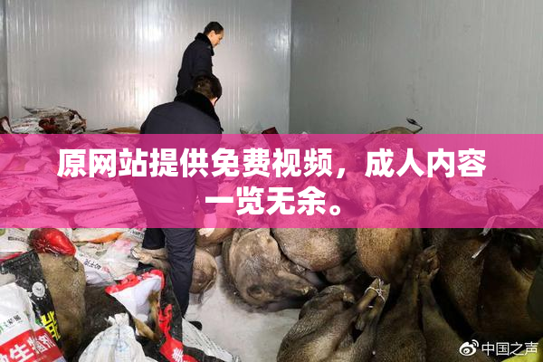 原网站提供免费视频，成人内容一览无余。