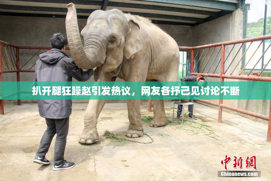 扒开腿狂躁赵引发热议，网友各抒己见讨论不断