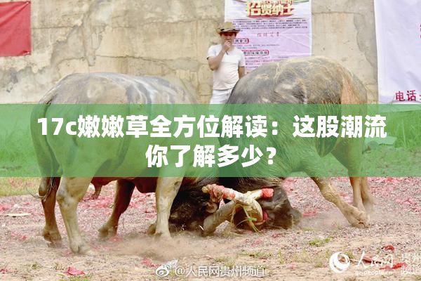 17c嫩嫩草全方位解读：这股潮流你了解多少？
