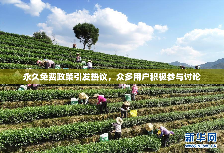 永久免费政策引发热议，众多用户积极参与讨论