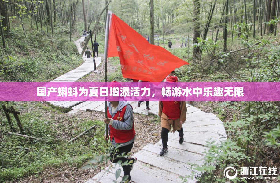 国产蝌蚪为夏日增添活力，畅游水中乐趣无限