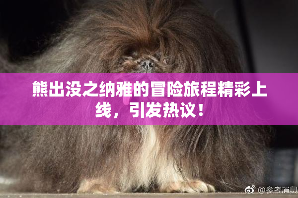 熊出没之纳雅的冒险旅程精彩上线，引发热议！