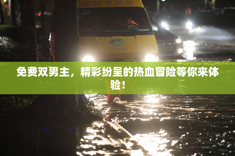 免费双男主，精彩纷呈的热血冒险等你来体验！