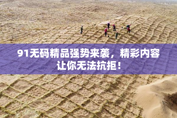 91无码精品强势来袭，精彩内容让你无法抗拒！
