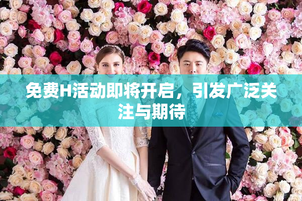 免费H活动即将开启，引发广泛关注与期待