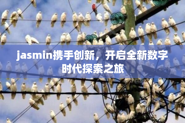 jasmin携手创新，开启全新数字时代探索之旅