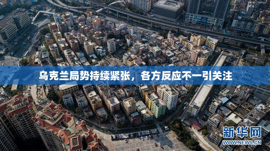 乌克兰局势持续紧张，各方反应不一引关注