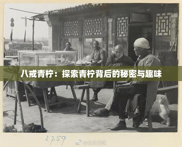 八戒青柠：探索青柠背后的秘密与趣味