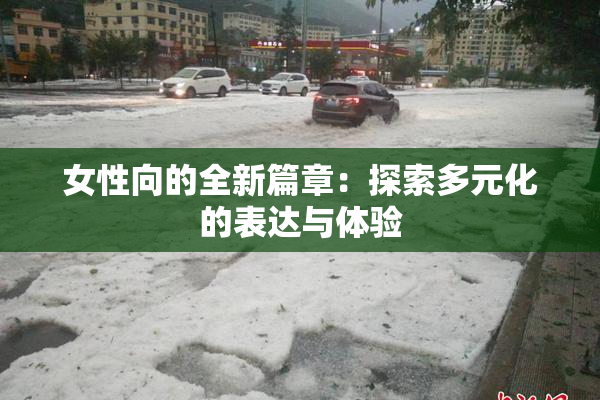 女性向的全新篇章：探索多元化的表达与体验
