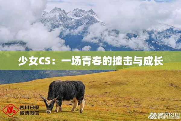 少女CS：一场青春的撞击与成长
