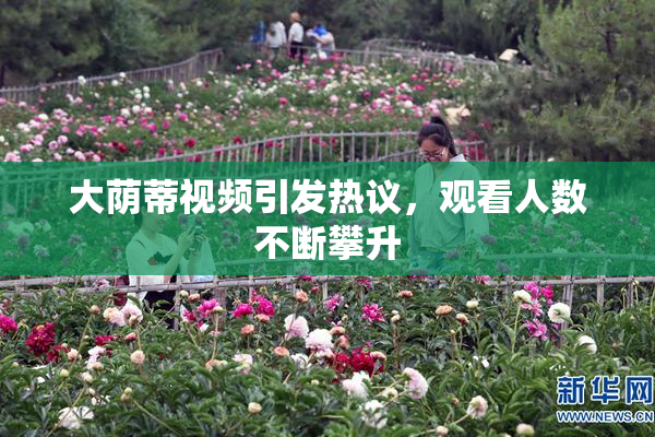 大荫蒂视频引发热议，观看人数不断攀升