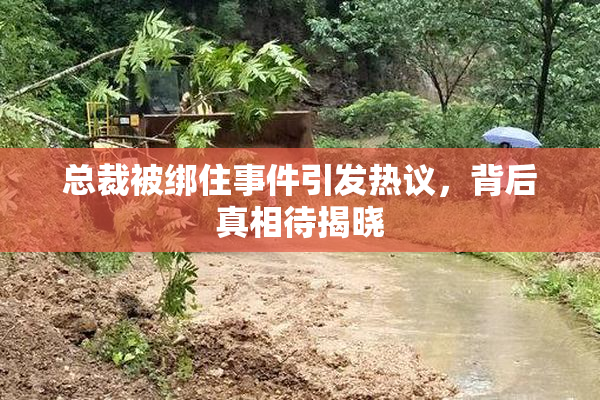总裁被绑住事件引发热议，背后真相待揭晓