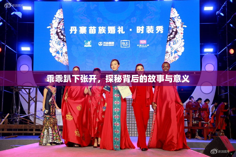 乖乖趴下张开，探秘背后的故事与意义