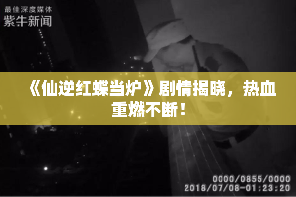 《仙逆红蝶当炉》剧情揭晓，热血重燃不断！
