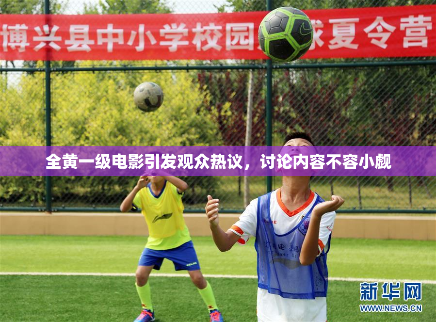 全黄一级电影引发观众热议，讨论内容不容小觑