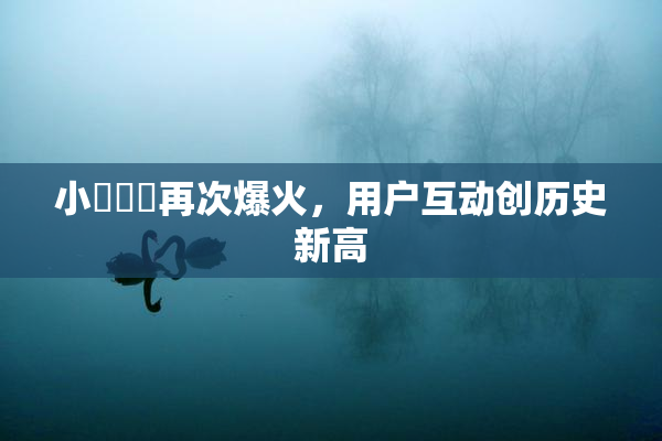 小藍視頻再次爆火，用户互动创历史新高
