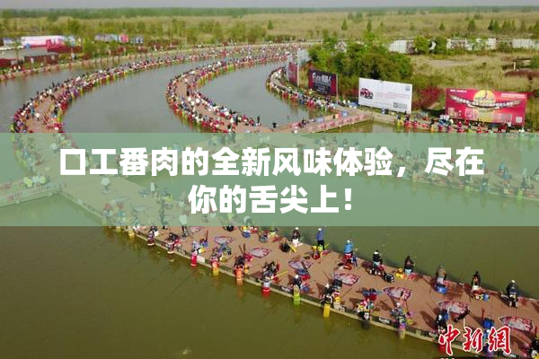 口工番肉的全新风味体验，尽在你的舌尖上！