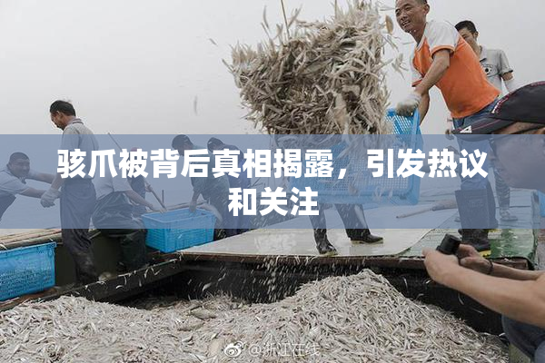 骇爪被背后真相揭露，引发热议和关注